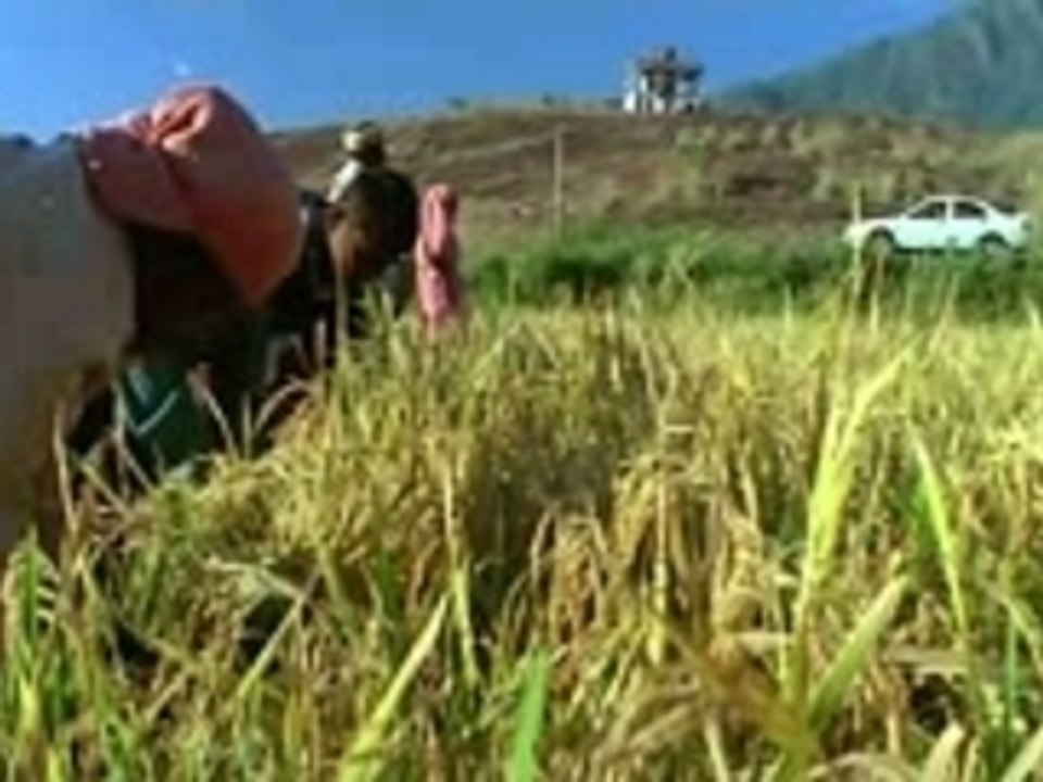 Something Something - PooParika