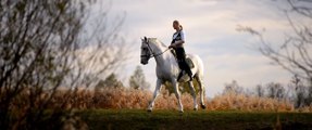 The Most Beautiful Horses of the Hungarian National Stud - Kappel Edit és lipicai lovai