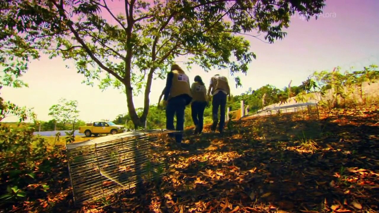 Manaus, une ville au coeur de la jungle 5/13 DOC HD