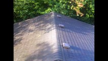 Video of Pressure Washing, Gutter Cleaning, Roof Moss Removal and Treatment in Portland, Gresham