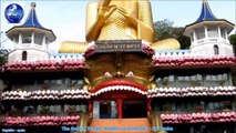 The Golden Temple Buddha in Dambulla   Sri Lanka- HD
