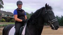 How to Ride Sitting Trot (without moving) - Dressage Mastery TV Ep3