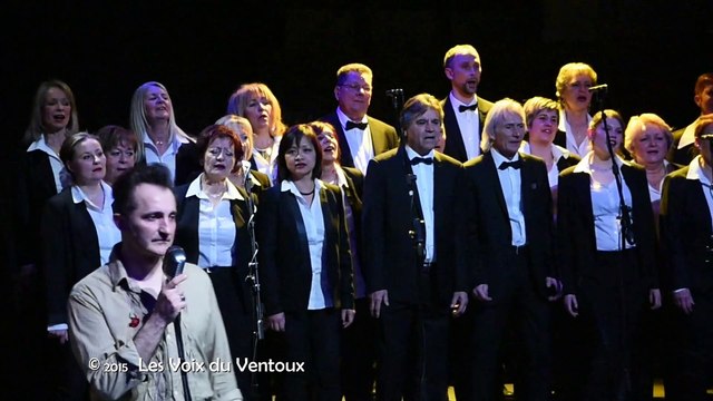 TRIBUTE ELVIS- ELVIS LA LEGENDE - Morières-Les-Avignon février 2015