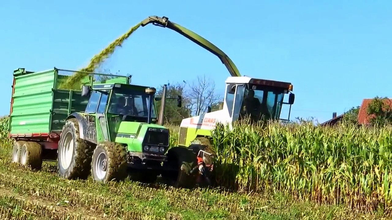 Maishäckseln mit Claas Jaguar 695 Mega, Deutz-Fahr DX 110 und Massey Ferguson 8140