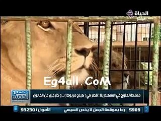 جولة داخل قصر صبرى نخنوخ   برنامج مصر الجديدة