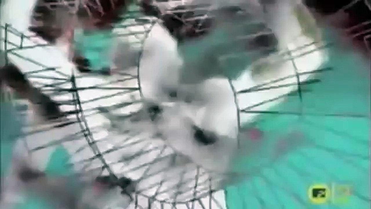 Rhythm Is a Dancer SNAP (Extended Version by DJ-VJ RickyTechnoDigit