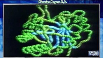 CROMOSOMAS Y GENES : DOCUMENTAL COMPLETO