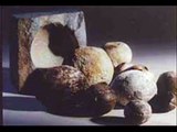 2.8 - 3 Billion Year Old Klerksdorp Spheres