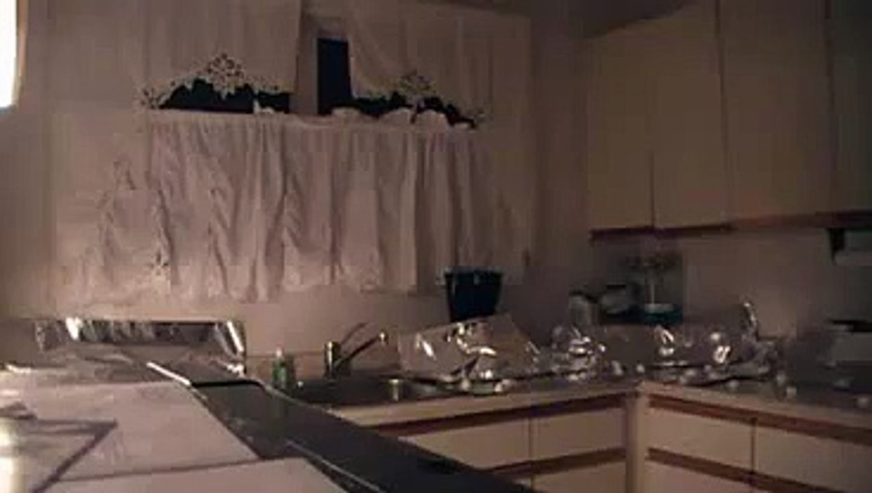 cat food fail