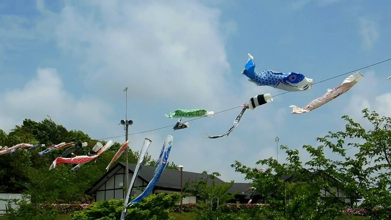 Lots of Fish Flags in Japan!