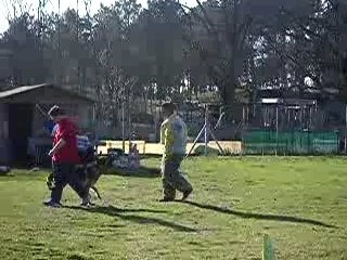 ROXIE - défense du maître