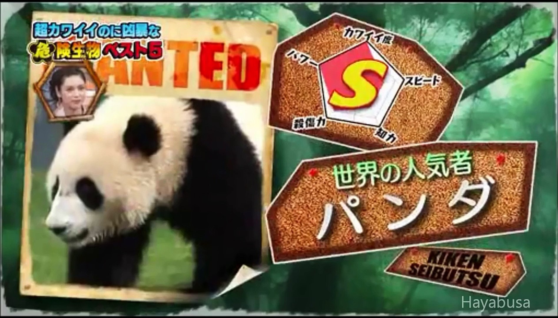 世界の超危険生物ランキング 1 5 Video Dailymotion