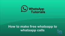 Whatsapp Call | Make free calls now... | Whatsapp Calling
