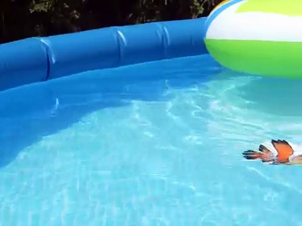 Fish Swimming in Pool