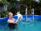 Baxter Relaxes in pool