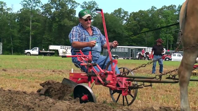 North Carolina Work Horse and Mule Association State Championship Plowing Contest 2012