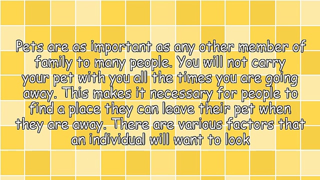 Factors To Consider When Choosing Pet Boarding In Orange County CA