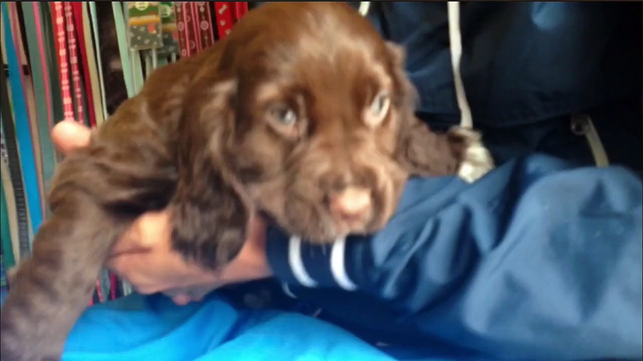 OH How they Grow Part One