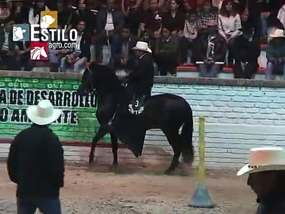 Gran Campeonato de Caballos Paso Fino Colombiano - Sogamoso 2013