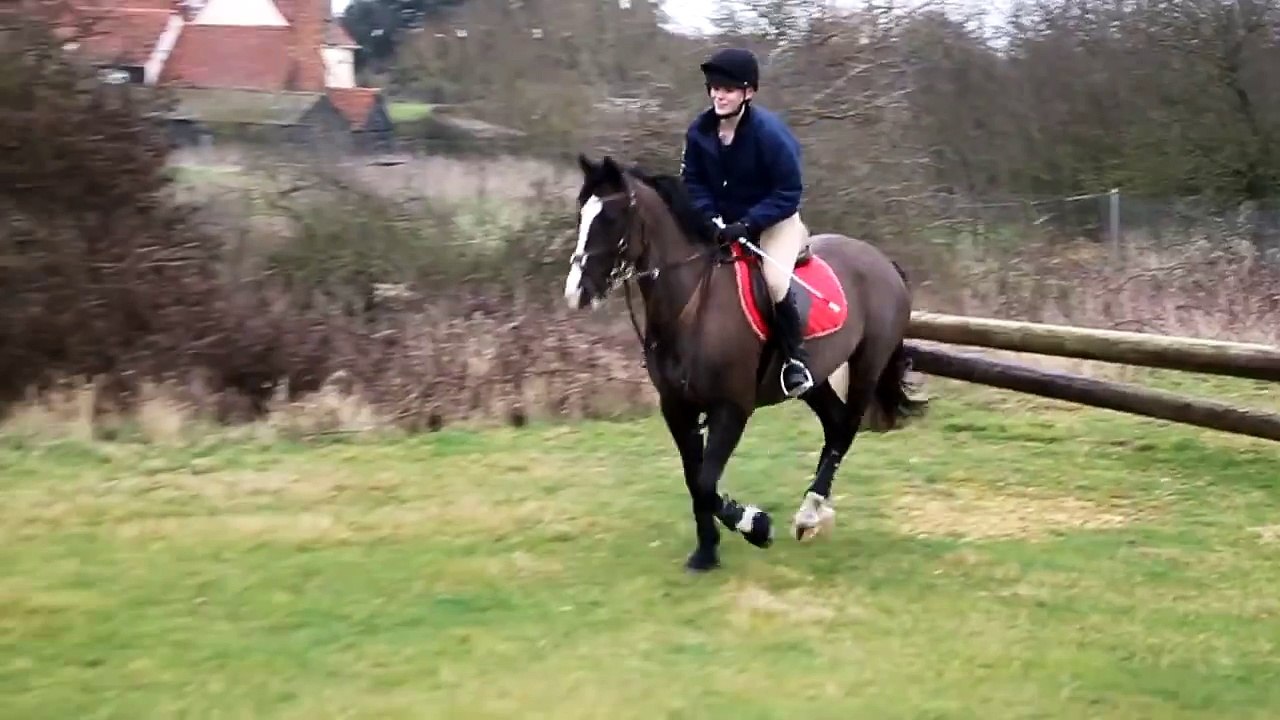 'Oh shit'.. Horse Fall