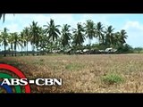 TV Patrol: N. Cotabato magdedeklara ng state of calamity dahil sa init; Iloilo, kulang na sa tubig