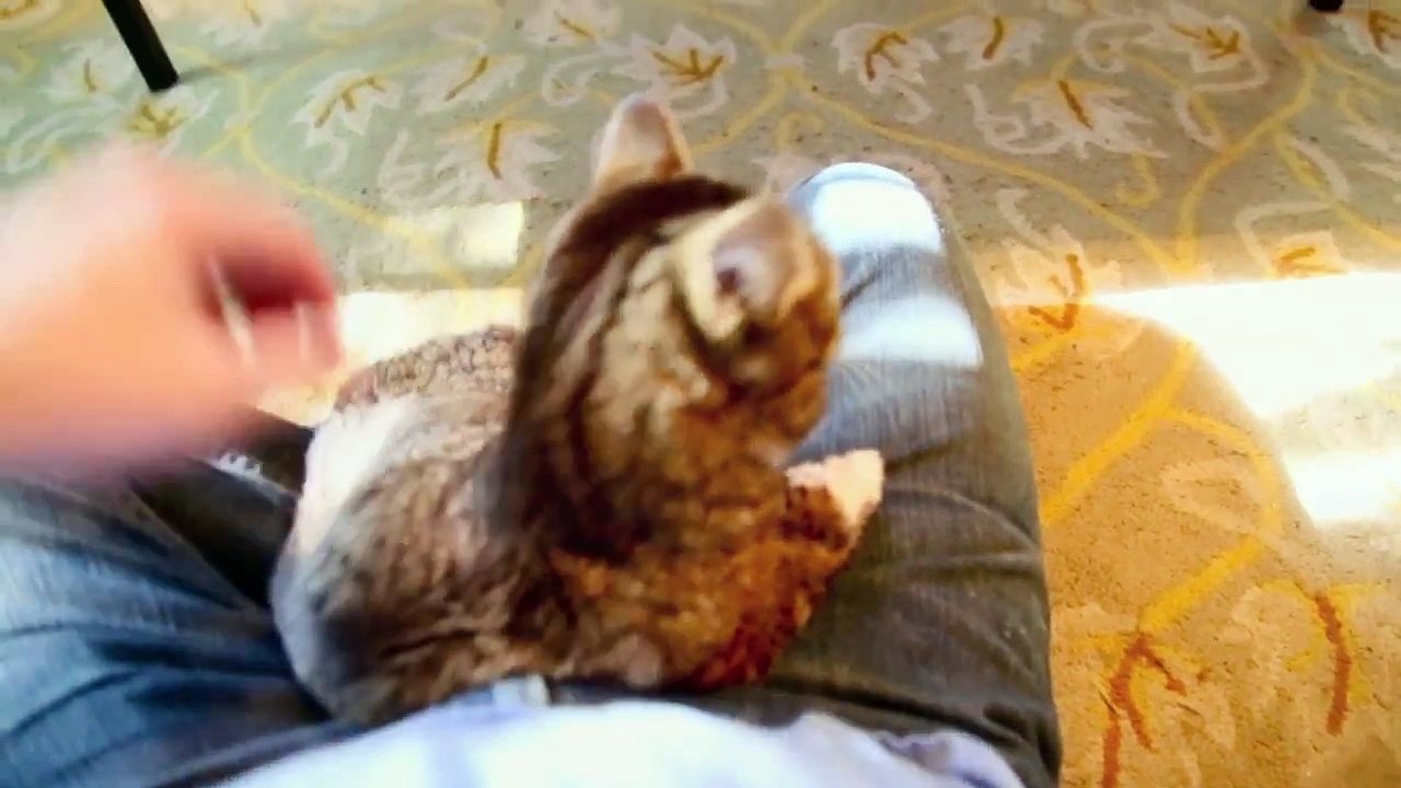 BUB CLIMBS