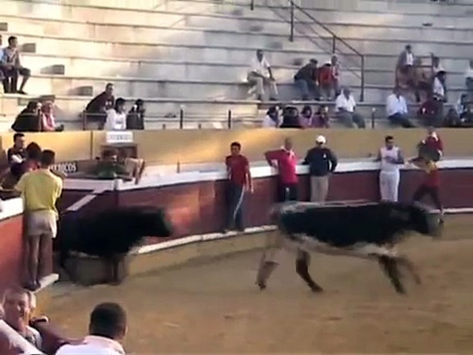 encierro de el alamo