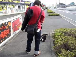 ナニコレ珍百景で大賞になった引きずられる犬タスケ君