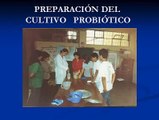 Proyecto Escolar de Elaboración de Yogurt. Colegio 1208 