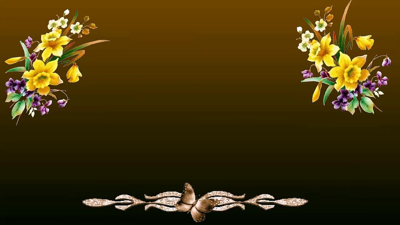 Mafalda's Border Collie - Cachorros Lenka & Indi   28-04-15