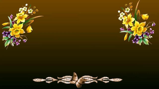 Mafalda's Border Collie - Cachorros Lenka & Indi 28-04-15