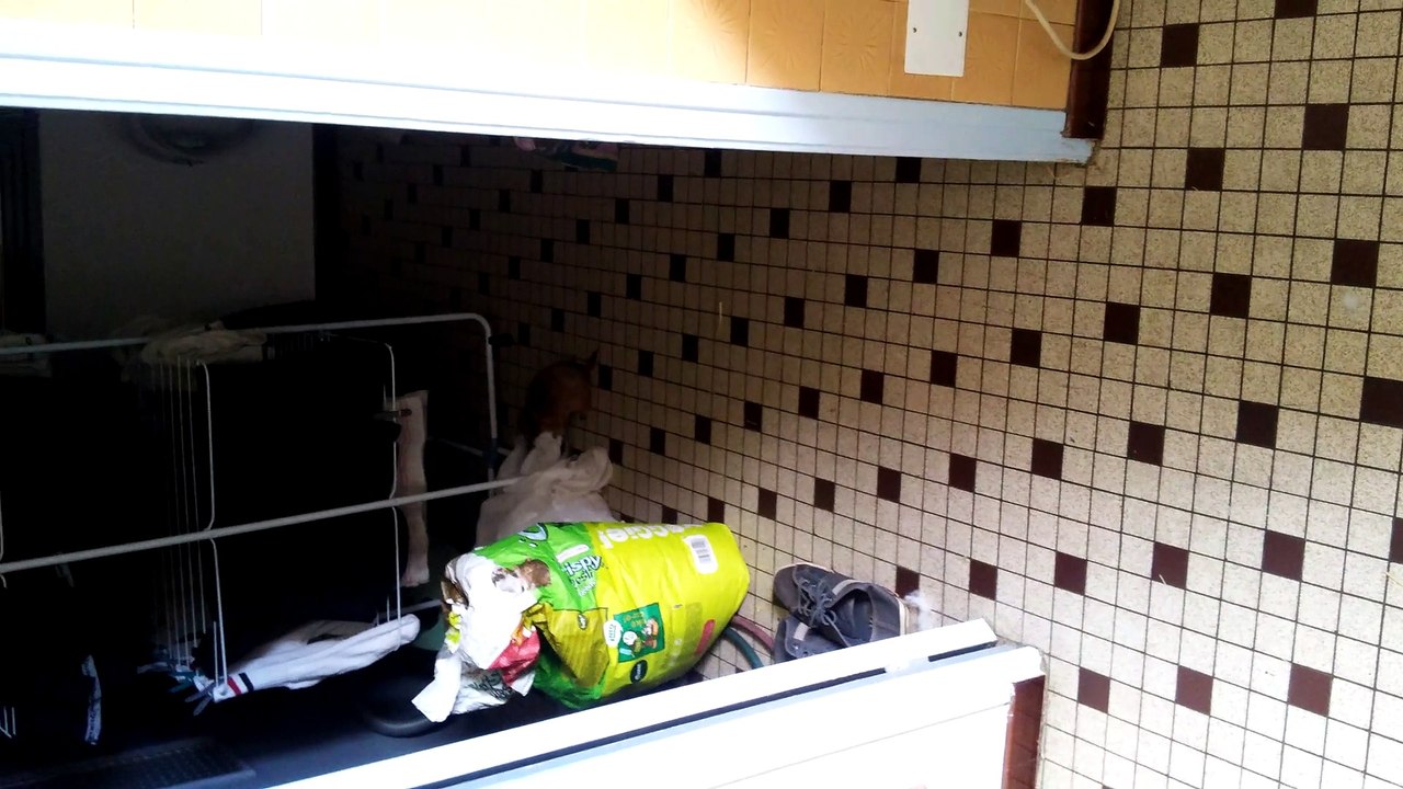 enola fait ses courses