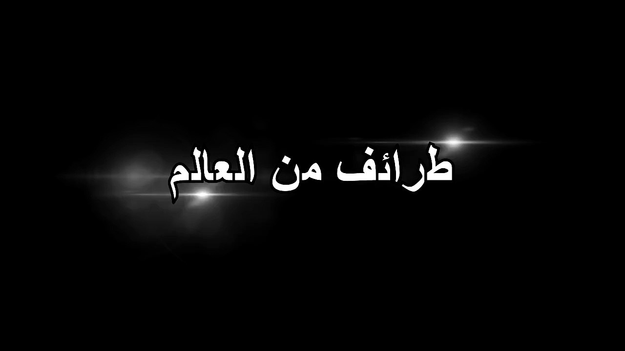 طرائف من العالم - لعبة إختبار الثقة هههههههههه