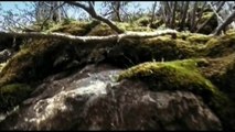 Tazenda Feat. Francesco Renga - Madre Terra - Videoclip Ufficiale