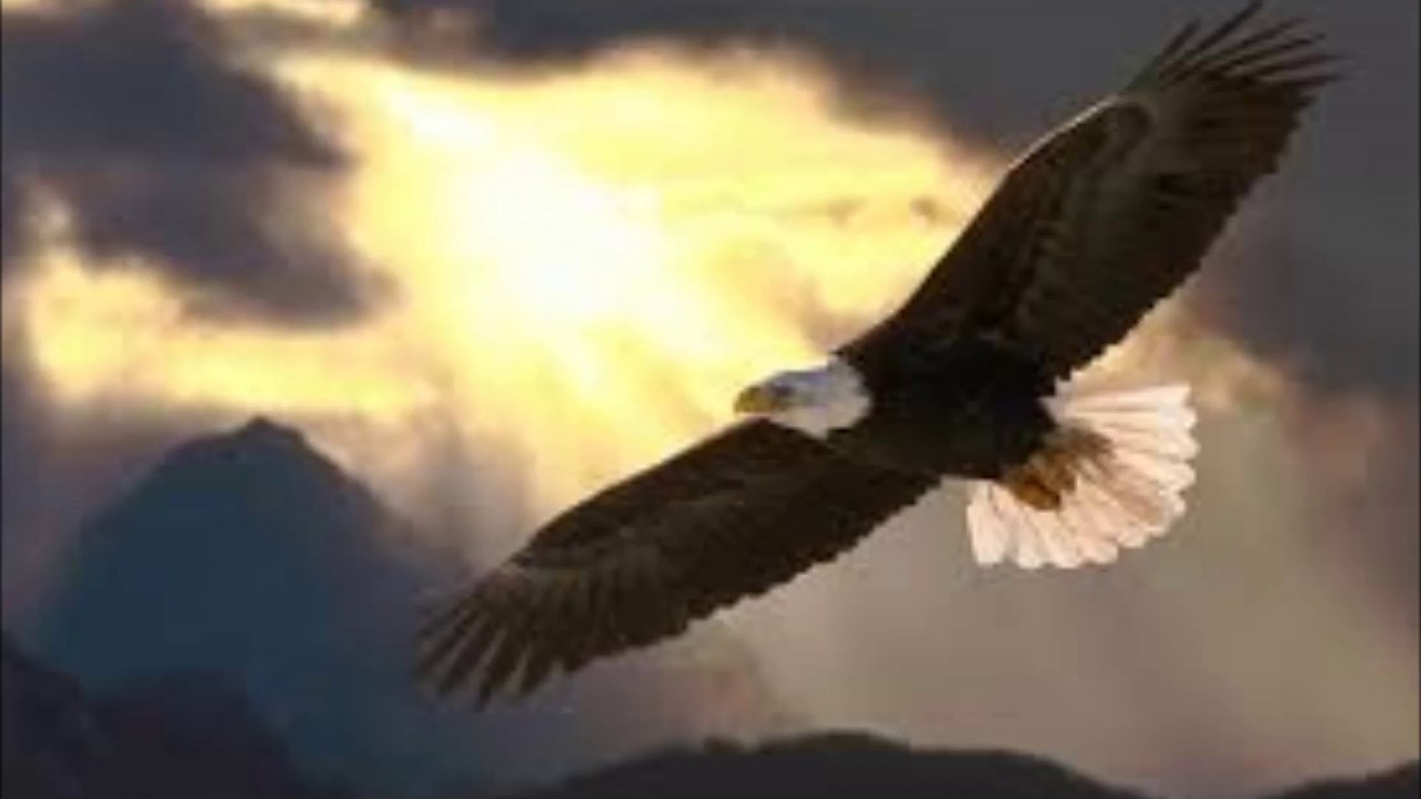 Liyr - Fall Of The Eagle