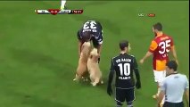 Soccer Game Interrupted By Two Puppies Running Onto The Field