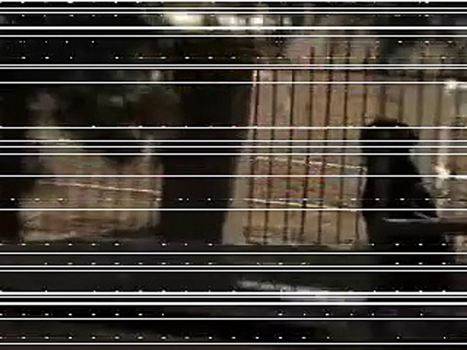 SIT MEANS SIT DOG TRAINING VIDEO