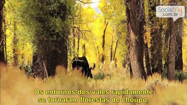 How the Wolves Change Rivers (Legendas em Português) Como os Lôbos mudam os Rios