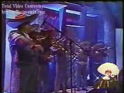 mi querido viejo vicente fernandez