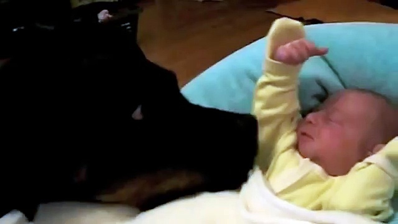 Joy Rottweiler 38Kg & Zoé bébé 2,6kg