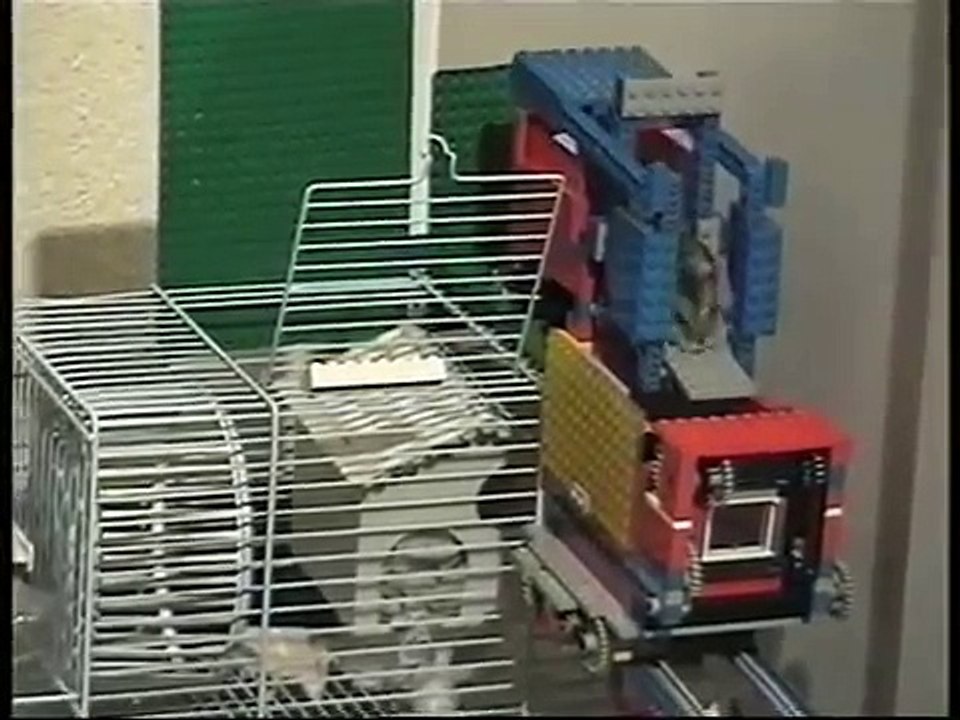 Smart hamster takes Lego Train Express!