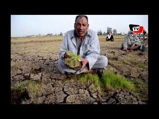 نقص المياه يقتل الأراضي الزراعية في «الحفير»