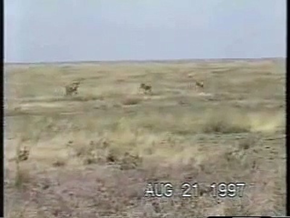 Lionesses getting some payback