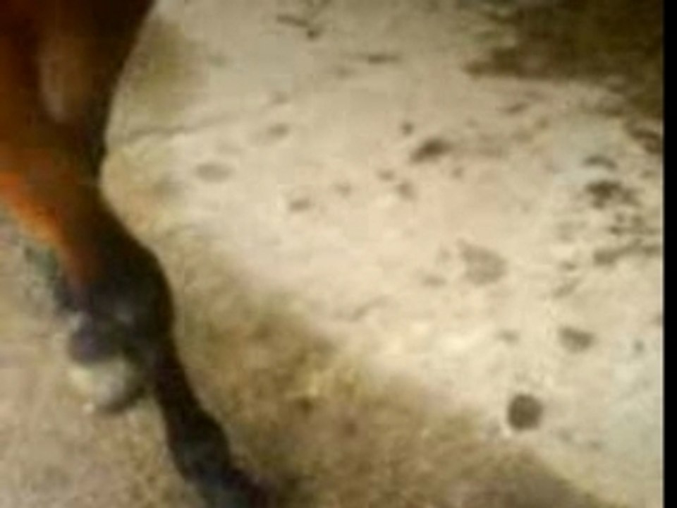 Nath jambette deux cotés