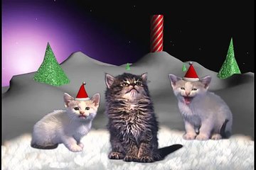 Jingle Cats Silent Night