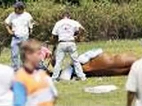 21 polo horses died