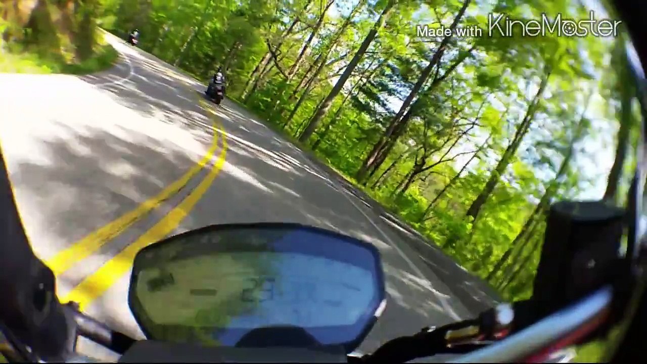 Ducati Monster  821 vs Harley Sportster Tail of the Dragon