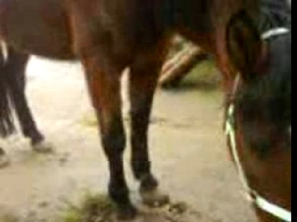 Jambette nath deux coté