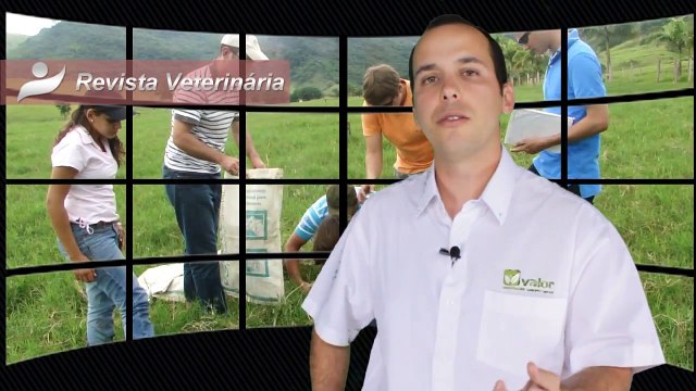 Curso de Manejo Nutricional de Gado de Corte (Alimentos e Alimentação)