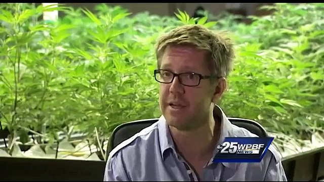 Medical marijuana inches way to legalization in Florida